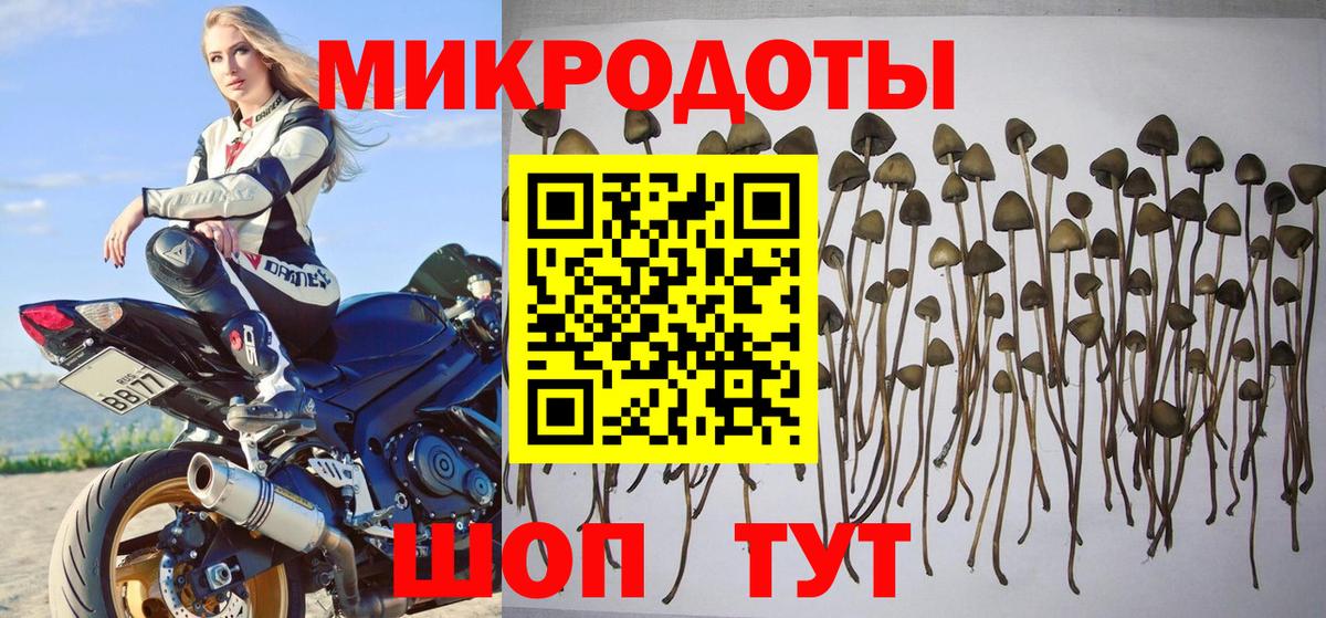 Тавда  Псилоцибиновые грибы GOLDEN TEACHER  Вход с VPN 