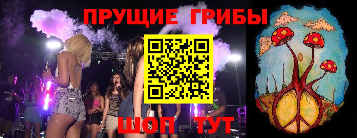 Псилоцибиновые грибы прущие грибы Тавда